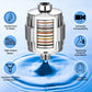 Belluxury PureAura™ Luxury Water Infusion System